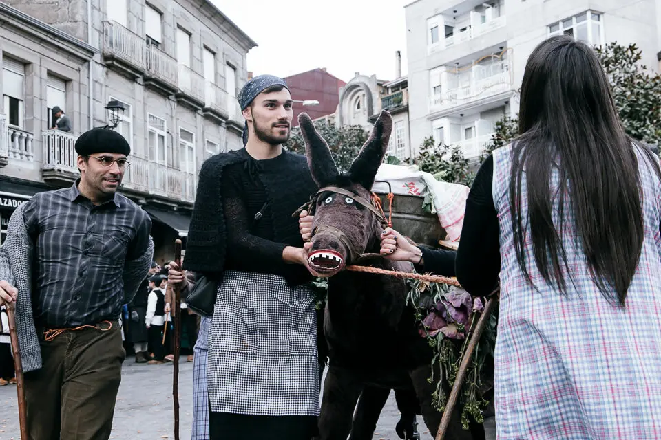 Oleiro 2019 (7 de 44)