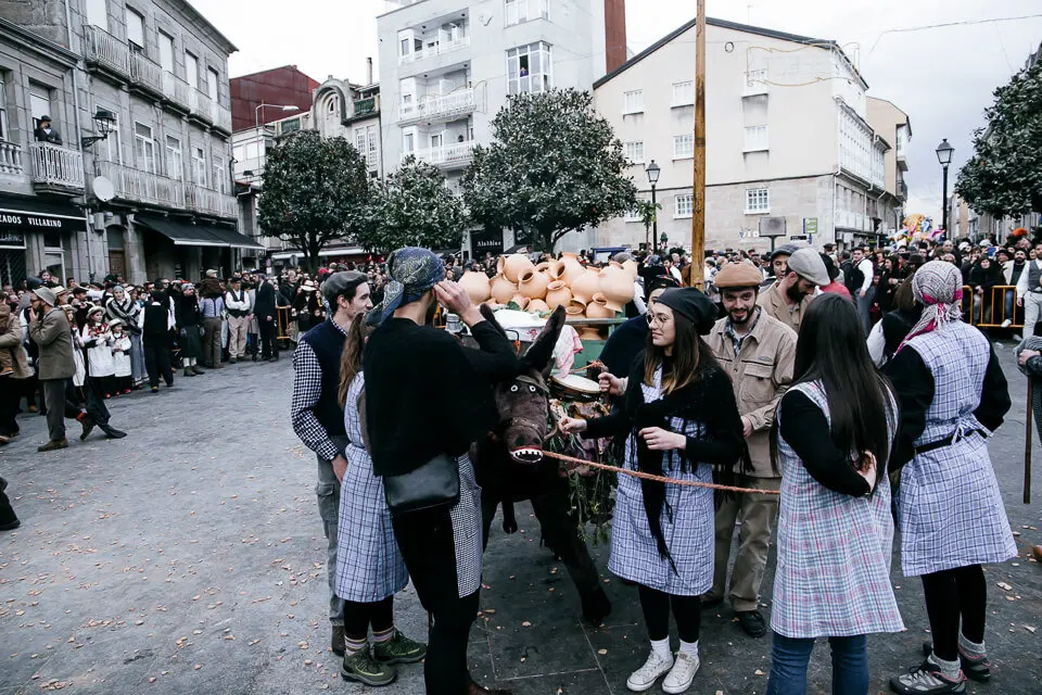 Oleiro 2019 (8 de 44)