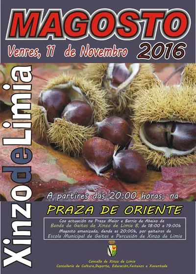 CARTEL MAGOSTO XINZO DE LIMIA 2016