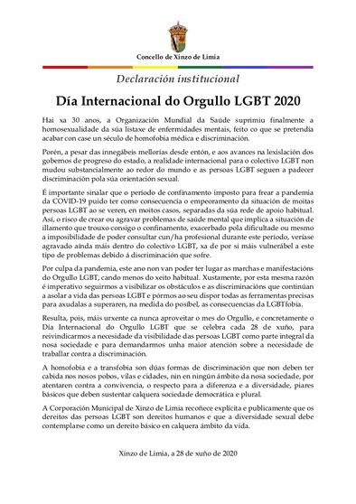 declaración-institucional-28X-2020
