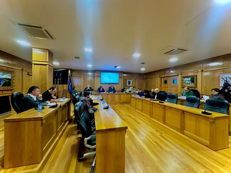 Pleno Extraordinario