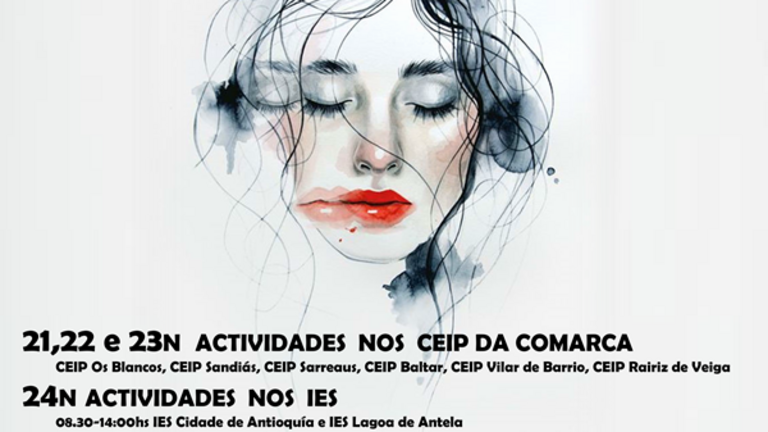 dia internacional eliminación da vio