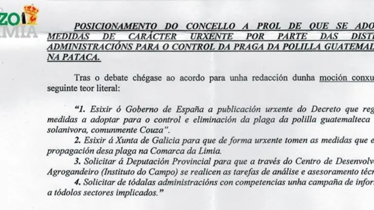 moci&oacute;n sobre a polilla da pataca