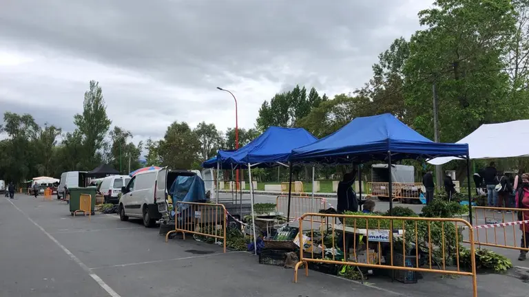 WhatsApp Image 2020-05-14 at 14.02.00-6