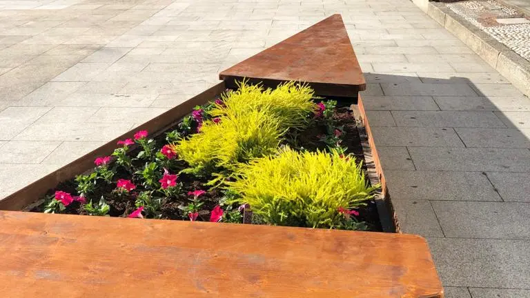 WhatsApp Image 2020-06-20 at 11.26.41