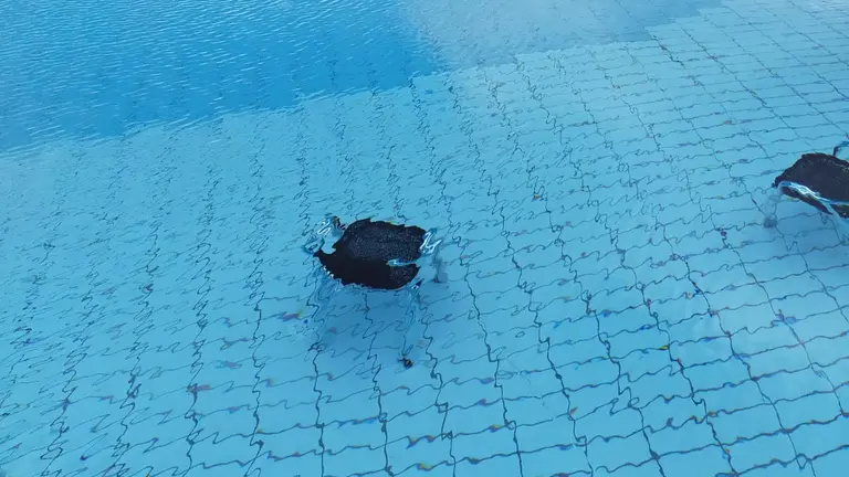 WhatsApp Image 2020-08-31 at 21.45.43