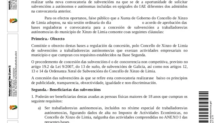 20210311_Outros_bases subvenci&oacute;n a traballadores aut&oacute;nomos_as galego(1)