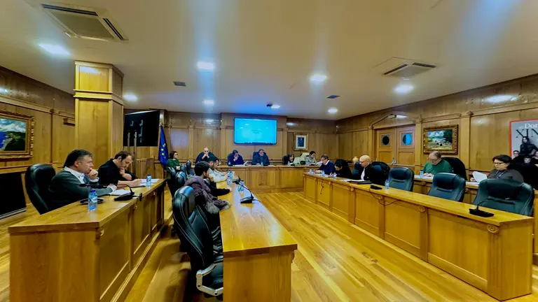 Pleno Extraordinario