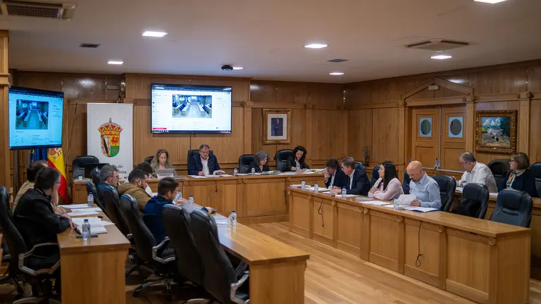 Pleno Ordinario do 10-04-2025