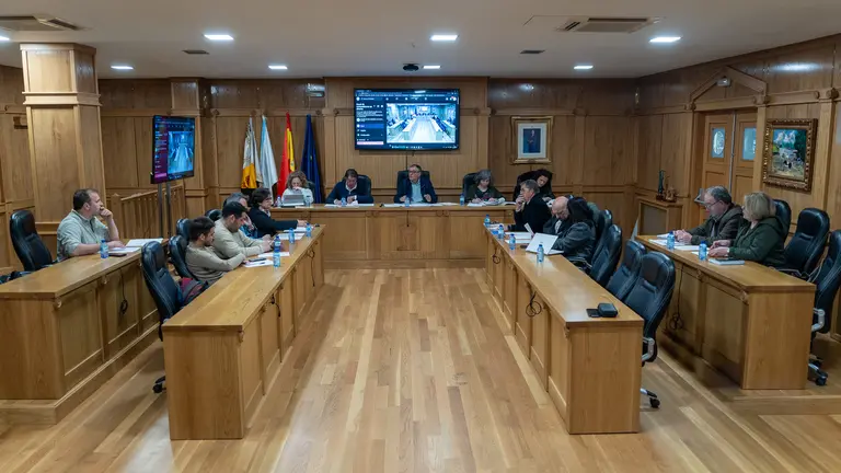 Pleno ordinario do 31/03/2026.