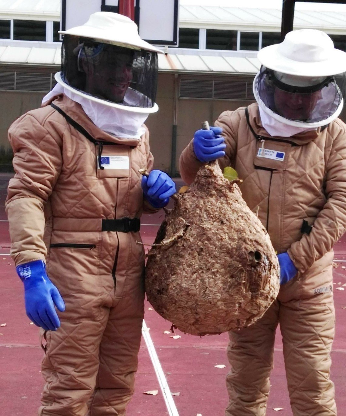 protección con velutinas